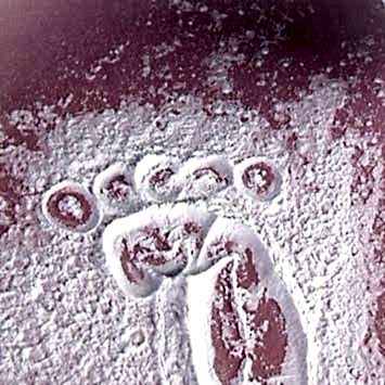 Baby Powder Esansı