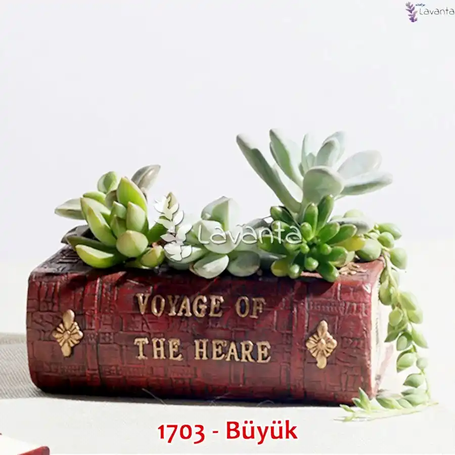 Büyük Kitap Sukulent Saksı Kalıbı