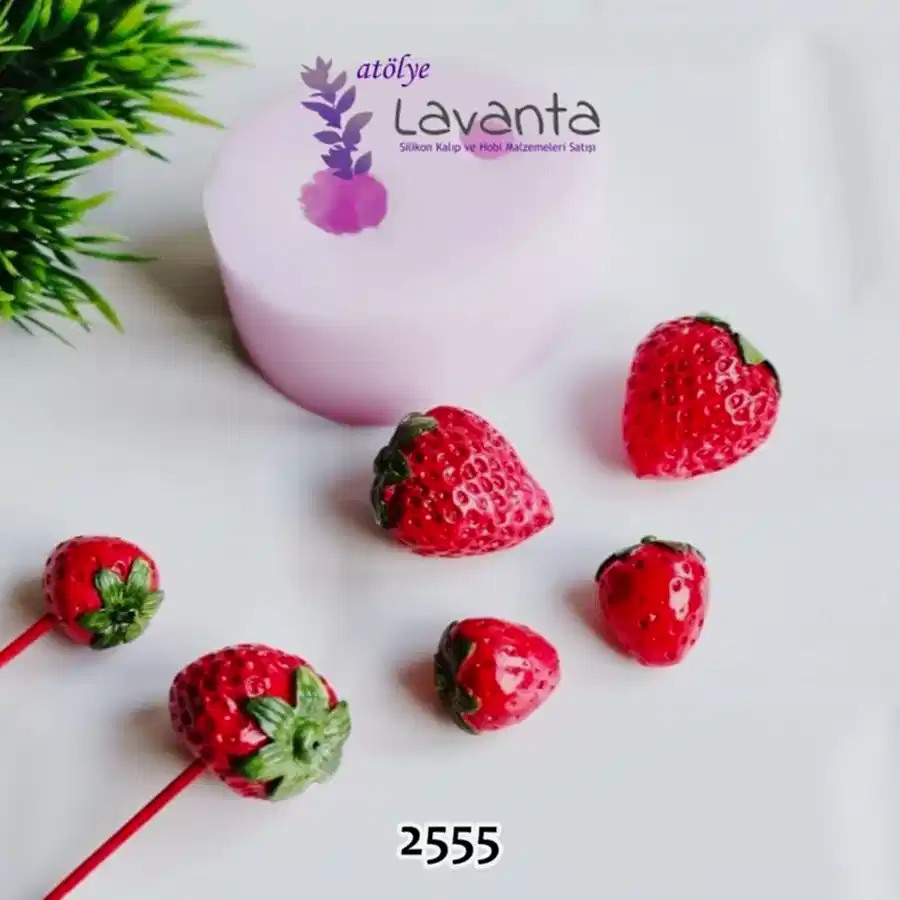 Çilek Saksı Süsü Kalıbı