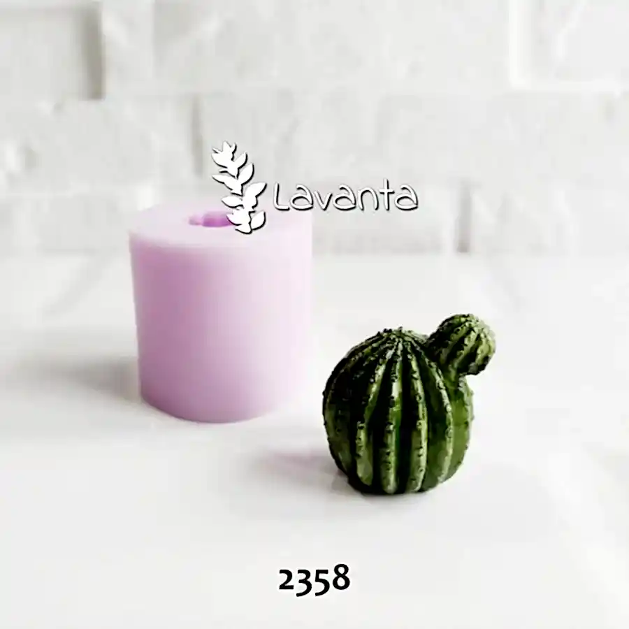 Mini Kaktüs Kalıbı