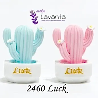 Minyatür Saksıda Luck Kaktüs Kalıbı