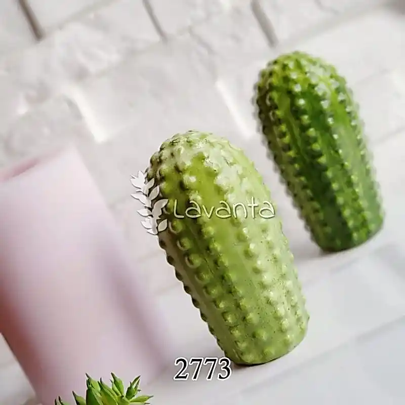 Noktalı Uzun Kaktüs Kalıbı