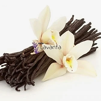 Vanilya Esansı